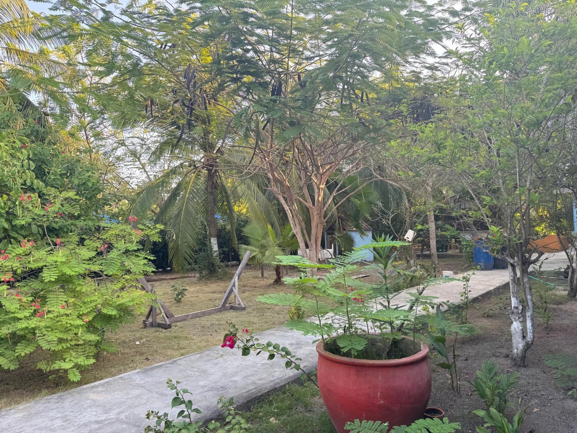 Casa Lolas House By Ctglifetravelers Isla Grande  Ngoại thất bức ảnh